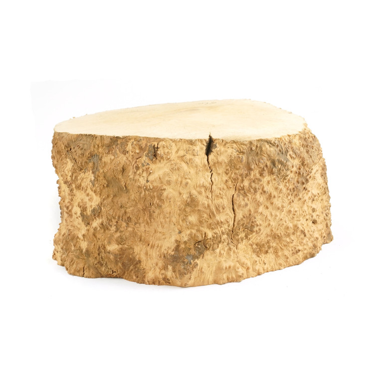 Mimmo Briar Burl Bowl Slice One-Off 02397