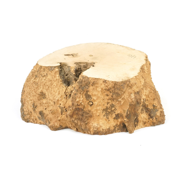 Mimmo Briar Burl Bowl Slice One-Off 02422