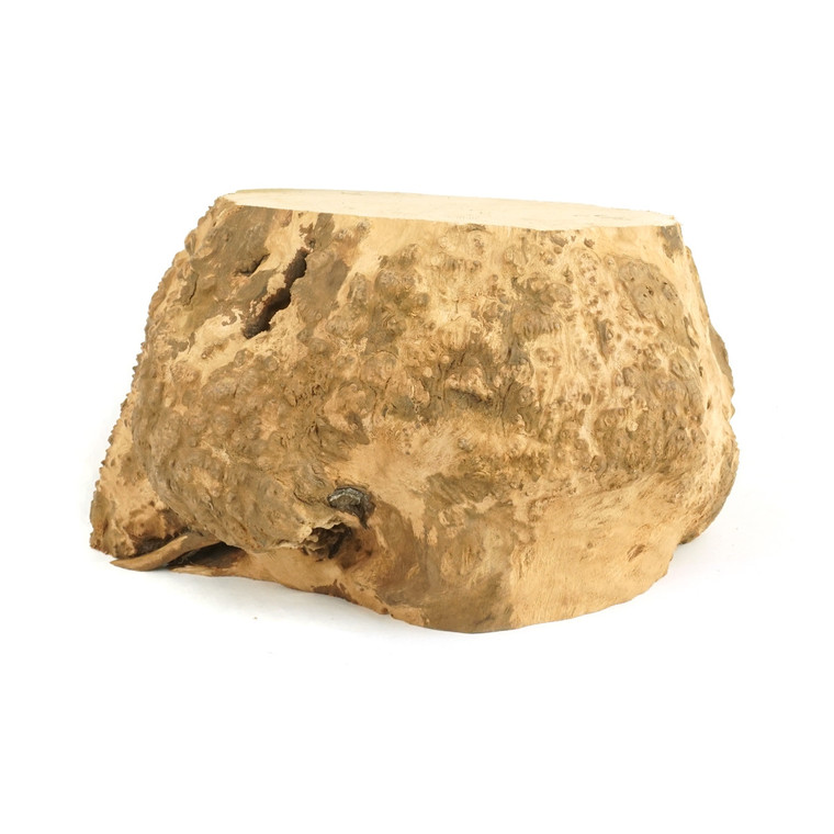 Mimmo Briar Burl Bowl Slice One-Off 02943