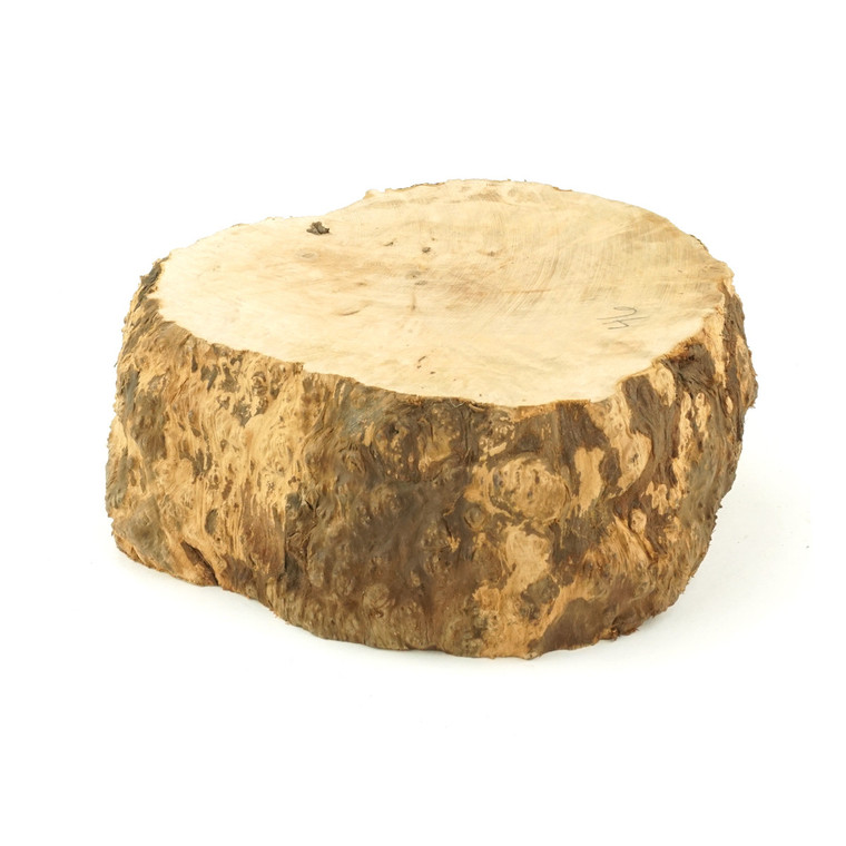 Mimmo Briar Burl Bowl Slice One-Off 02945