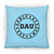 Dance Academy USA Small Square Pillow
