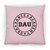 Dance Academy USA Small Square Pillow