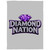 LDC Diamond Nation Cozy Plush Fleece Blanket - 30x40