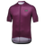{"colorName":"Process Purple/Black","colorCode":"BQ99","order":"3", "type":"hollow_body", "view":"quarter", "model_code":"BQ99"}