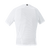 {"colorName":"White","colorCode":"0100","order":"2", "type":"hollow_body", "view":"back", "model_code":"0100"}