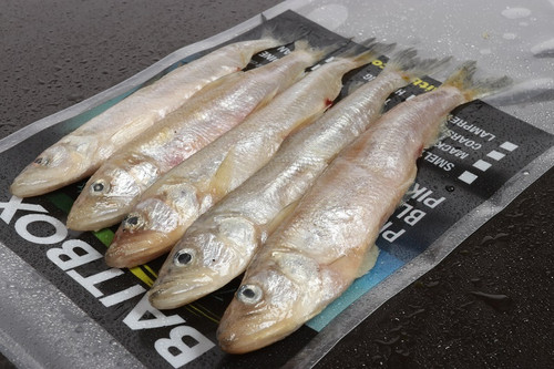 Large Smelt Packs of 3/4 