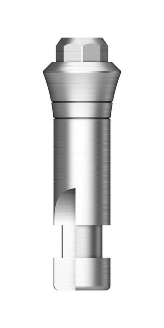 SS Regular Octa Lab Analog