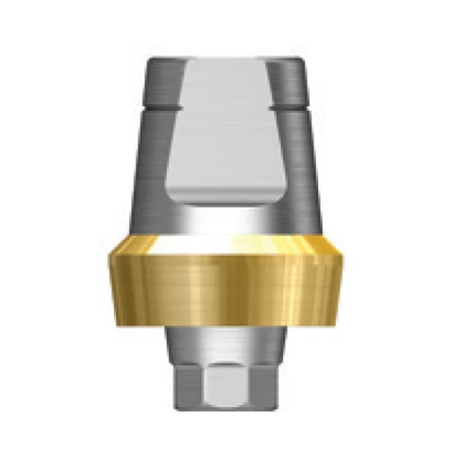 Ø6.0 SS Regular ComOcta Plus Abutment