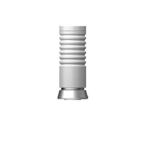 SS Regular ComOcta NP-Cast Abutment