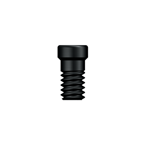 ET EbonyGold Abutment Screw for Convertible Abutment