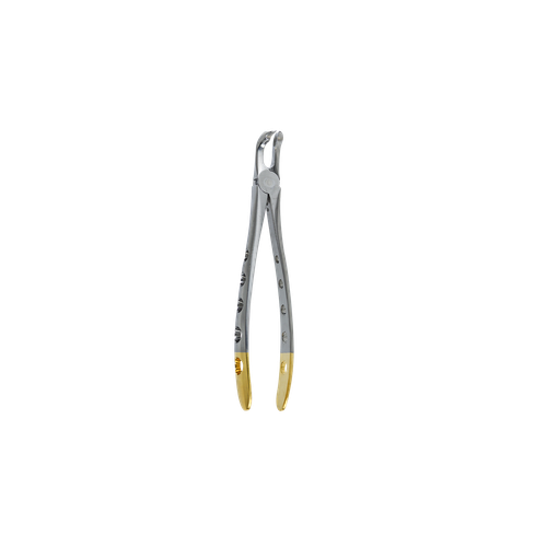 Atraumatic Extraction Forcep-Lower Molar Modifed Cow Horn Beak
