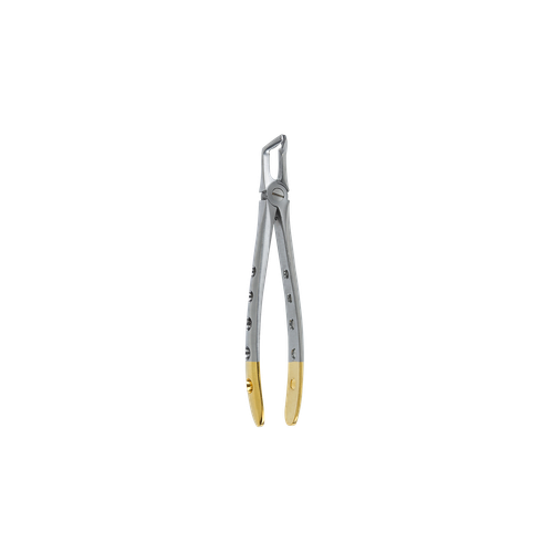 Dental Extraction Forceps F-222AF Apical Beak Lower Wisdoms