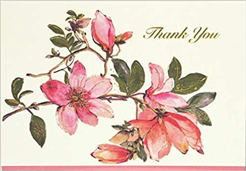 Thank You Magnolia 14 cards 15 Env