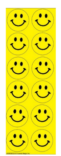 3060 Smiley Circle Stickers (Large)