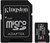 Kingston Canvas Plus 256GB microSD & Ad