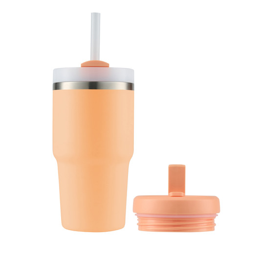 HydroQuench Insulated Smoothie Tumbler 550ml - Peach