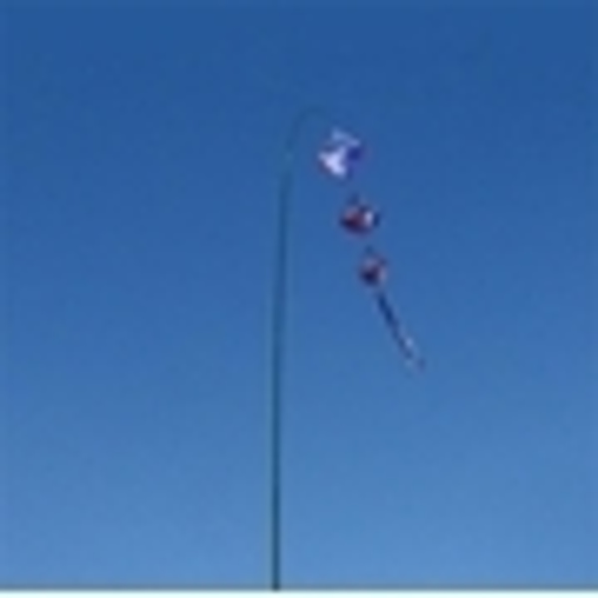 Windsock Poles