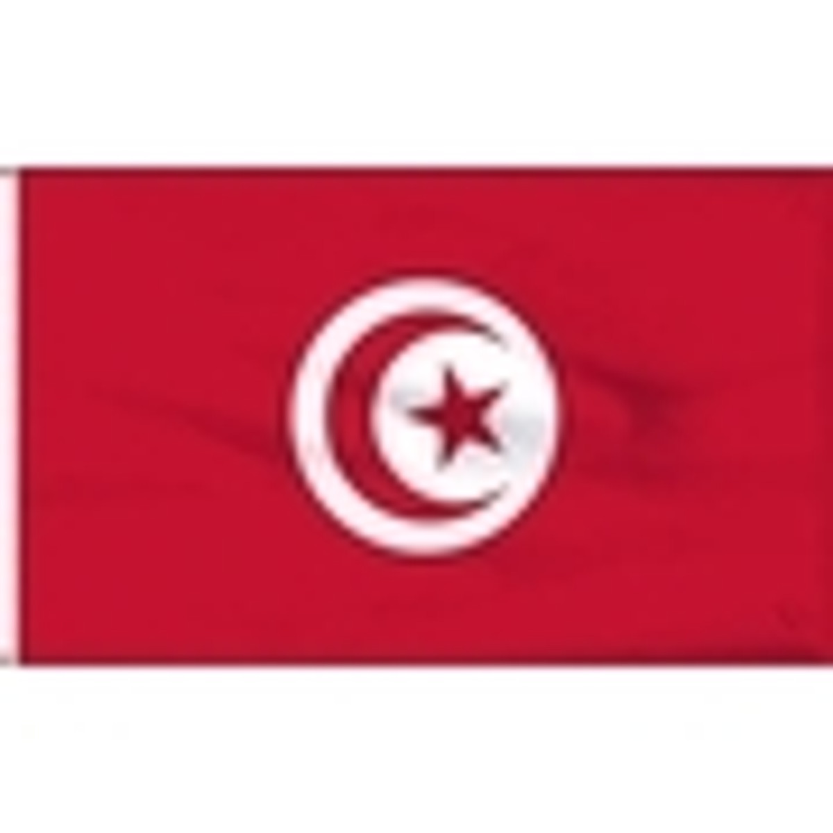 Tunisia - Tinisian Flags