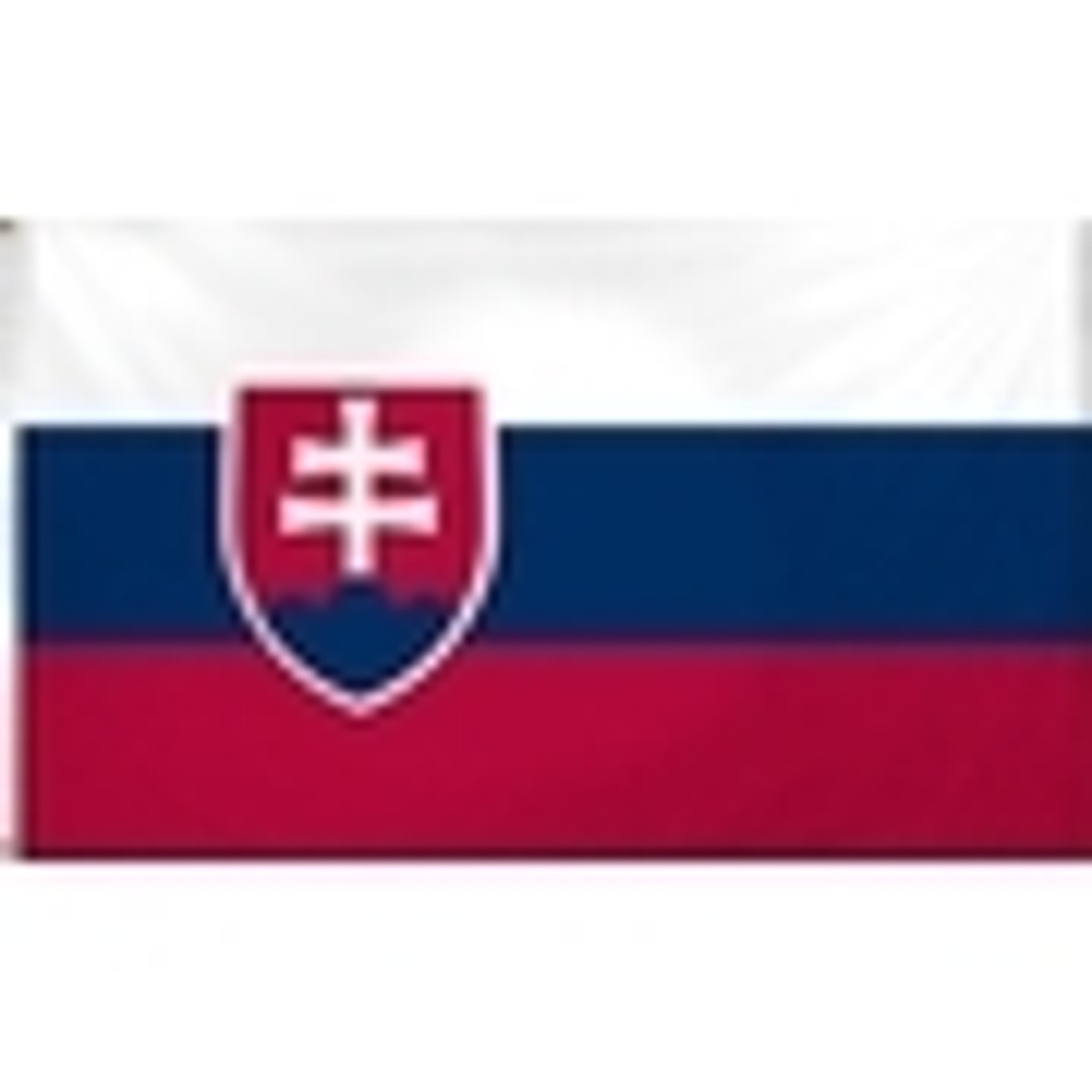 Slovakia Flags