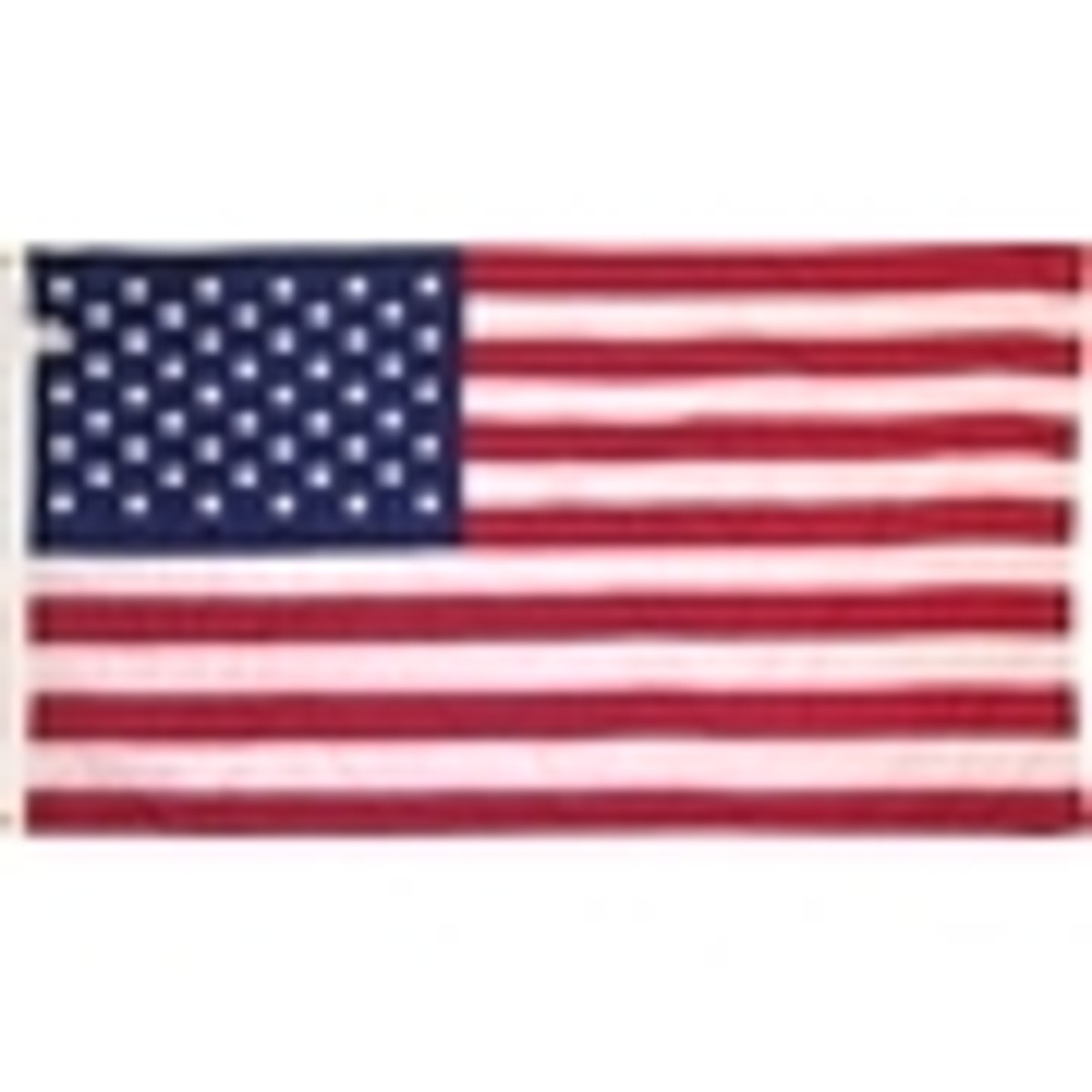Valley Forge Nylon American Flags
