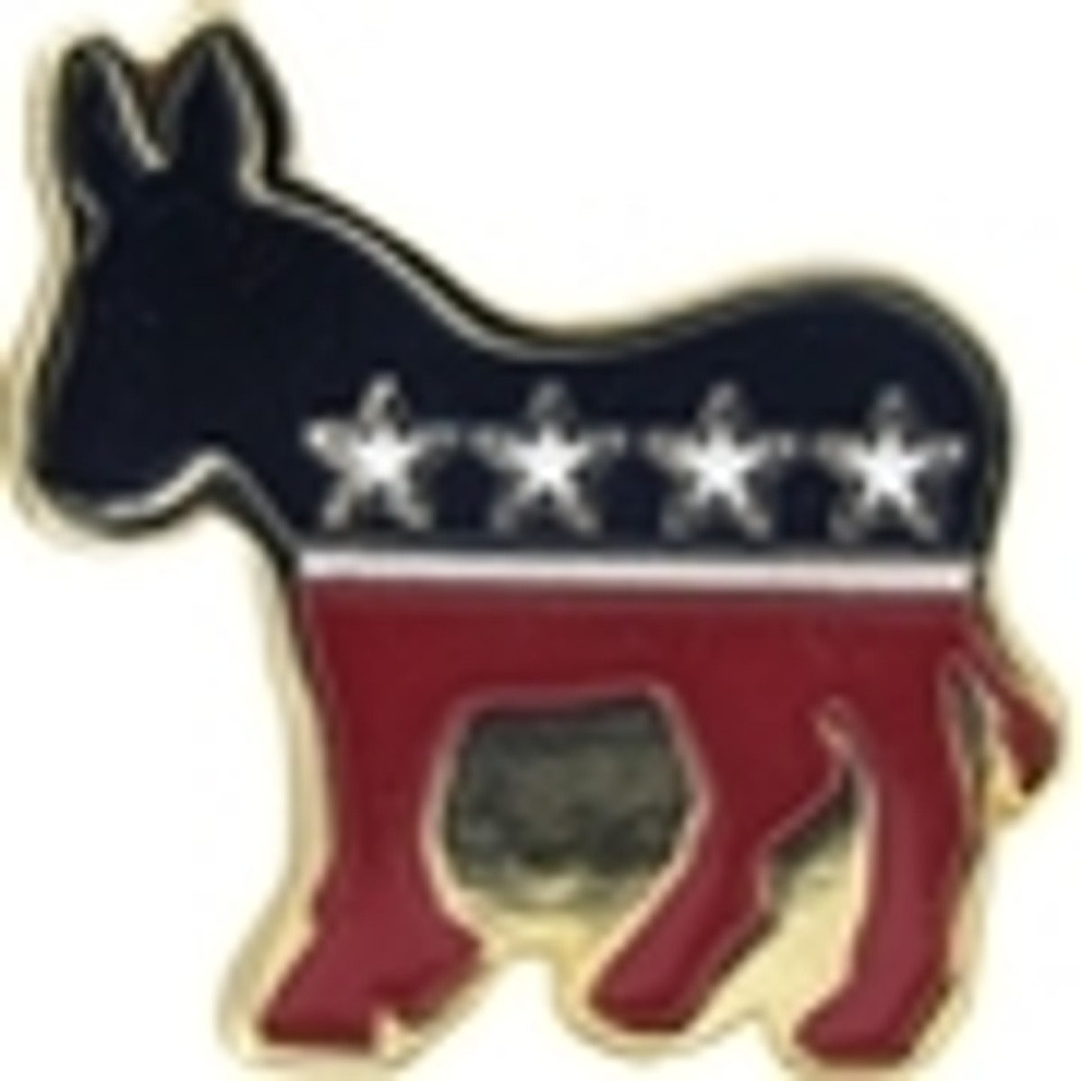 Democrat Lapel Pins