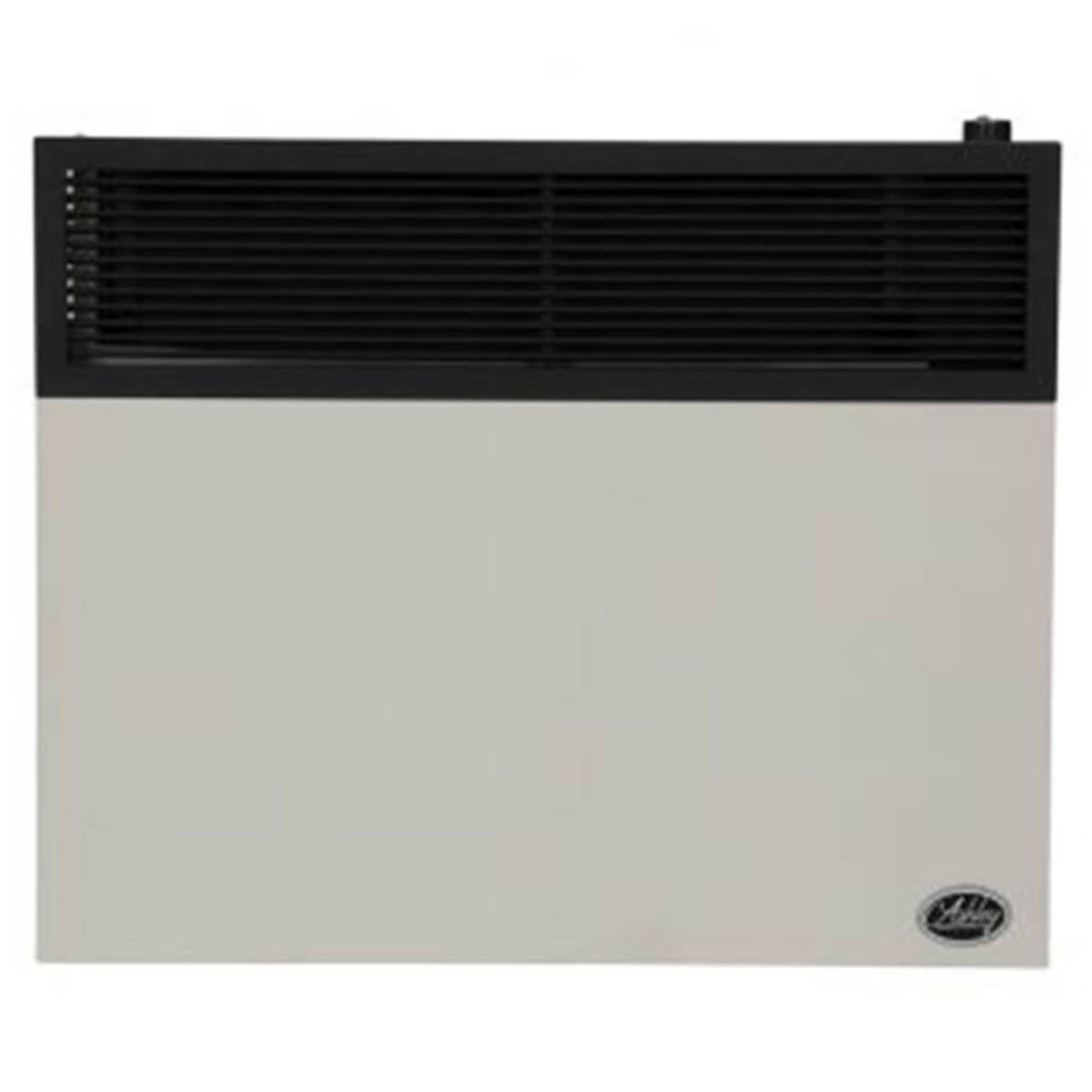 Ashley 25,000 BTU Direct Vent Natural Gas Wall Heater