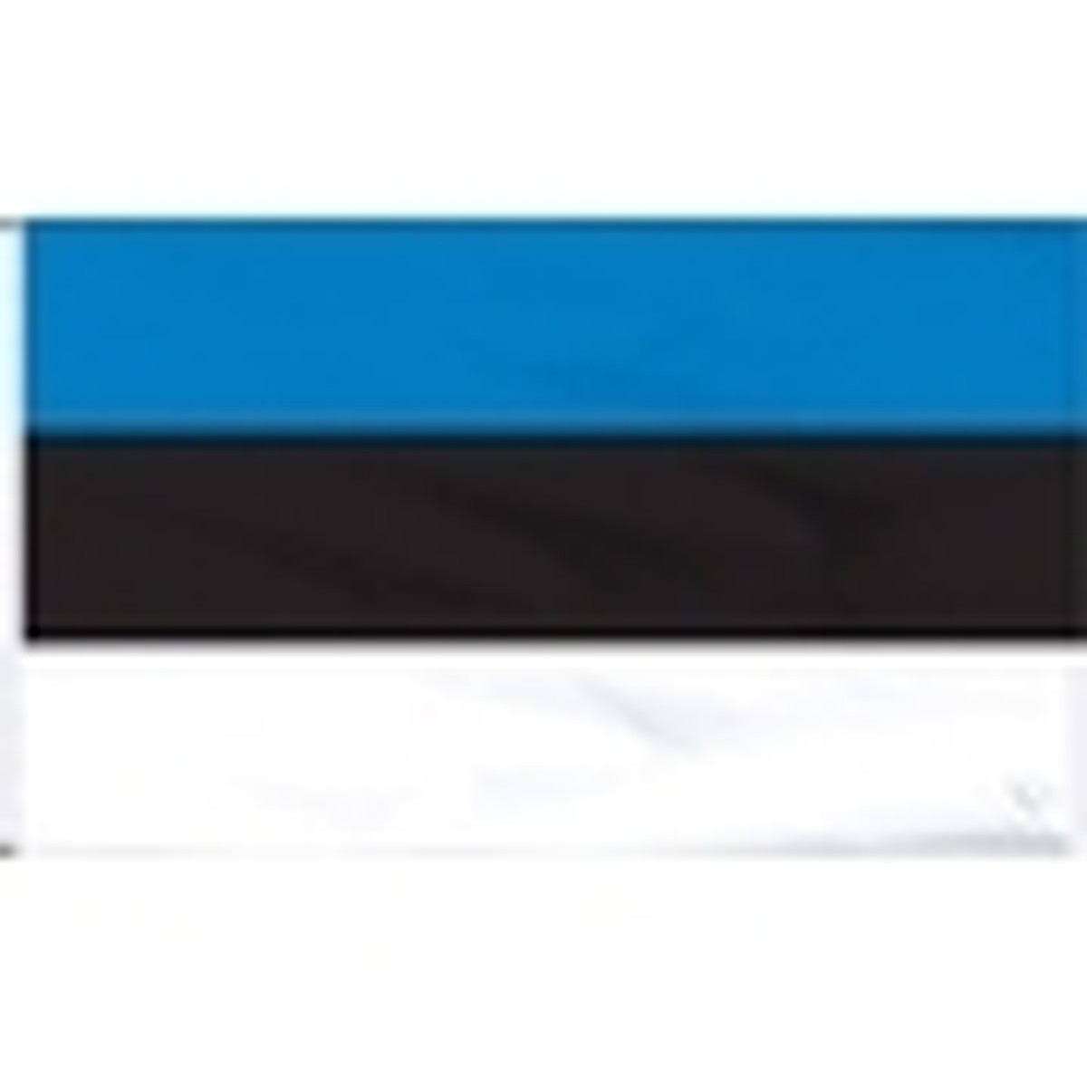 Estonia Flags