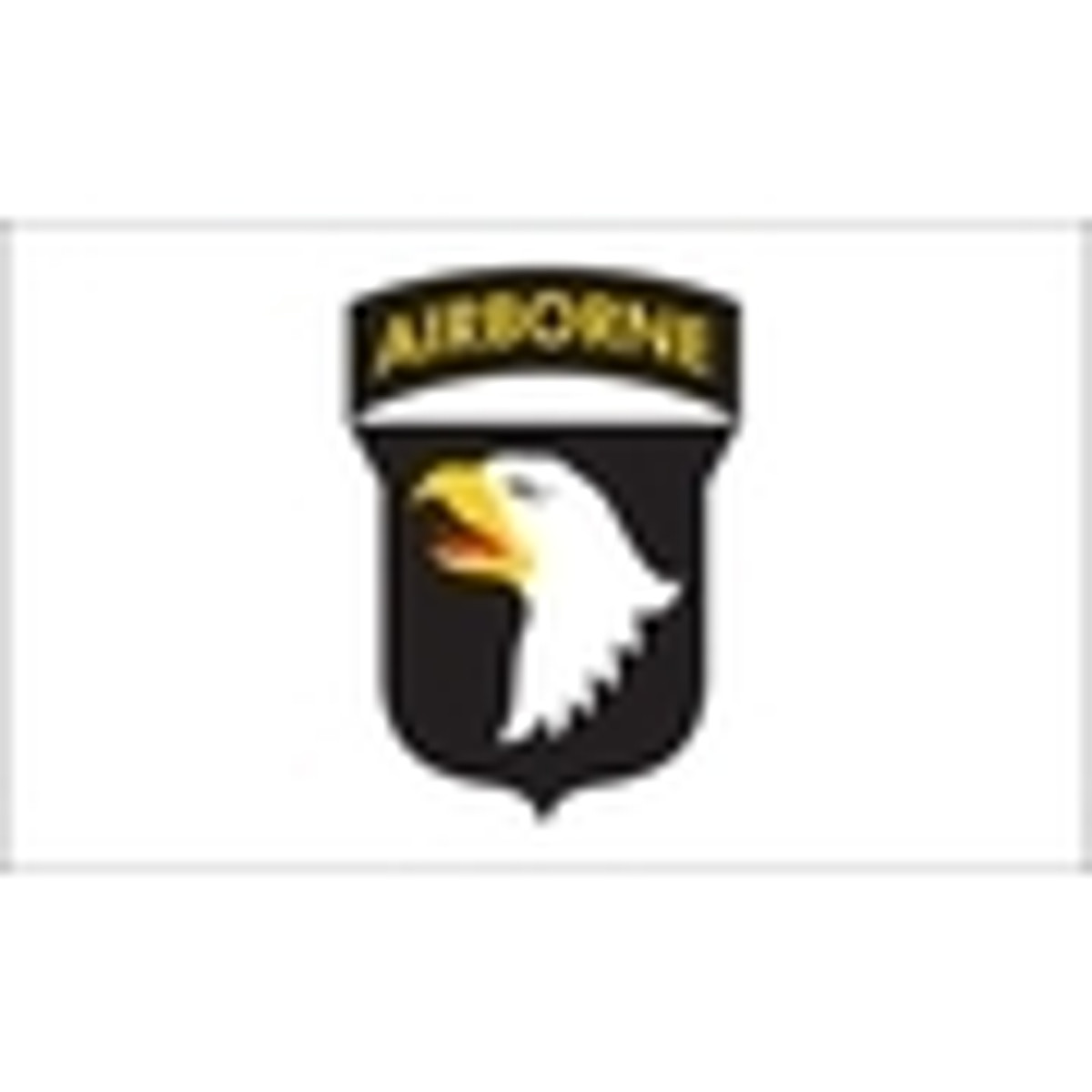 101st Airborne flag