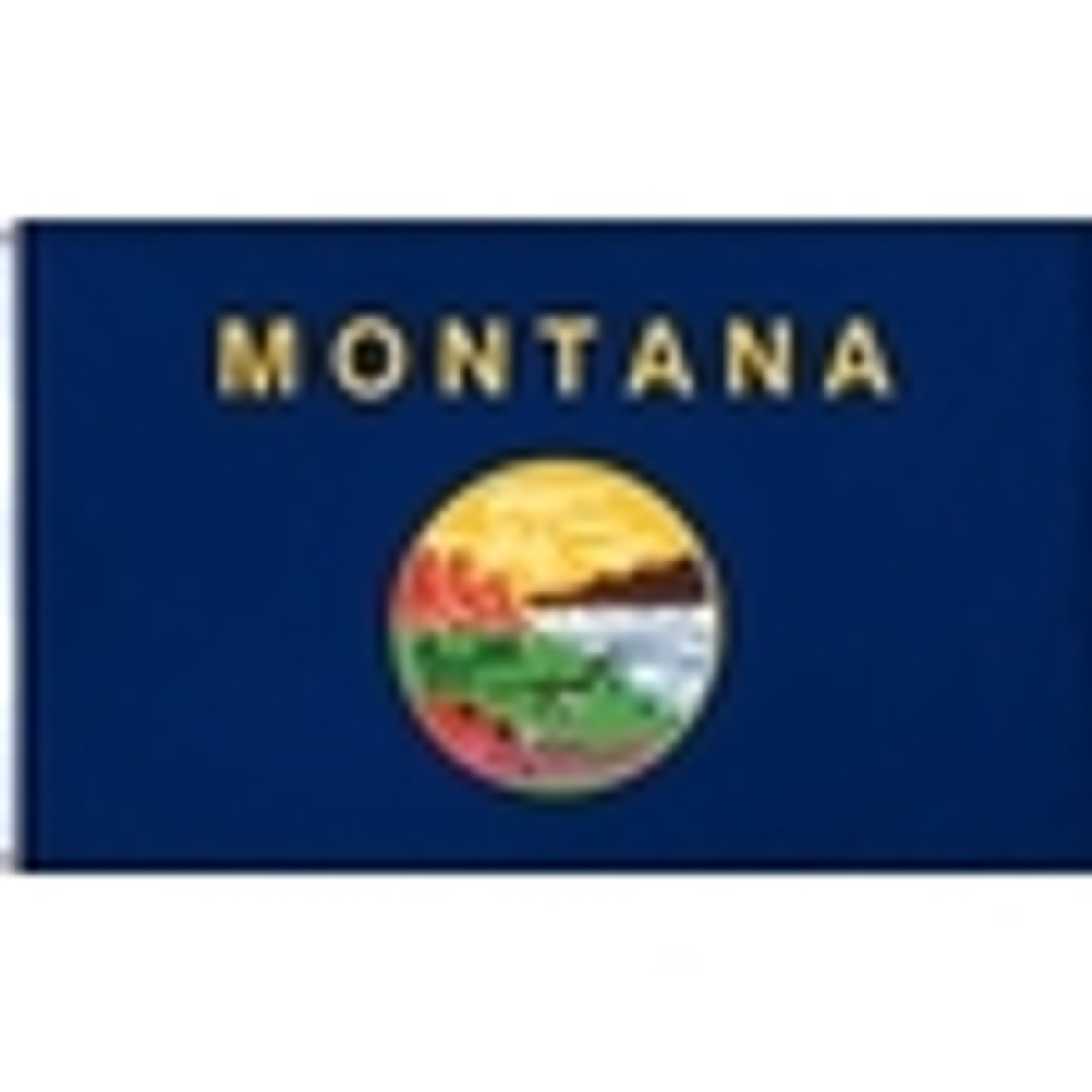 Montana Flags