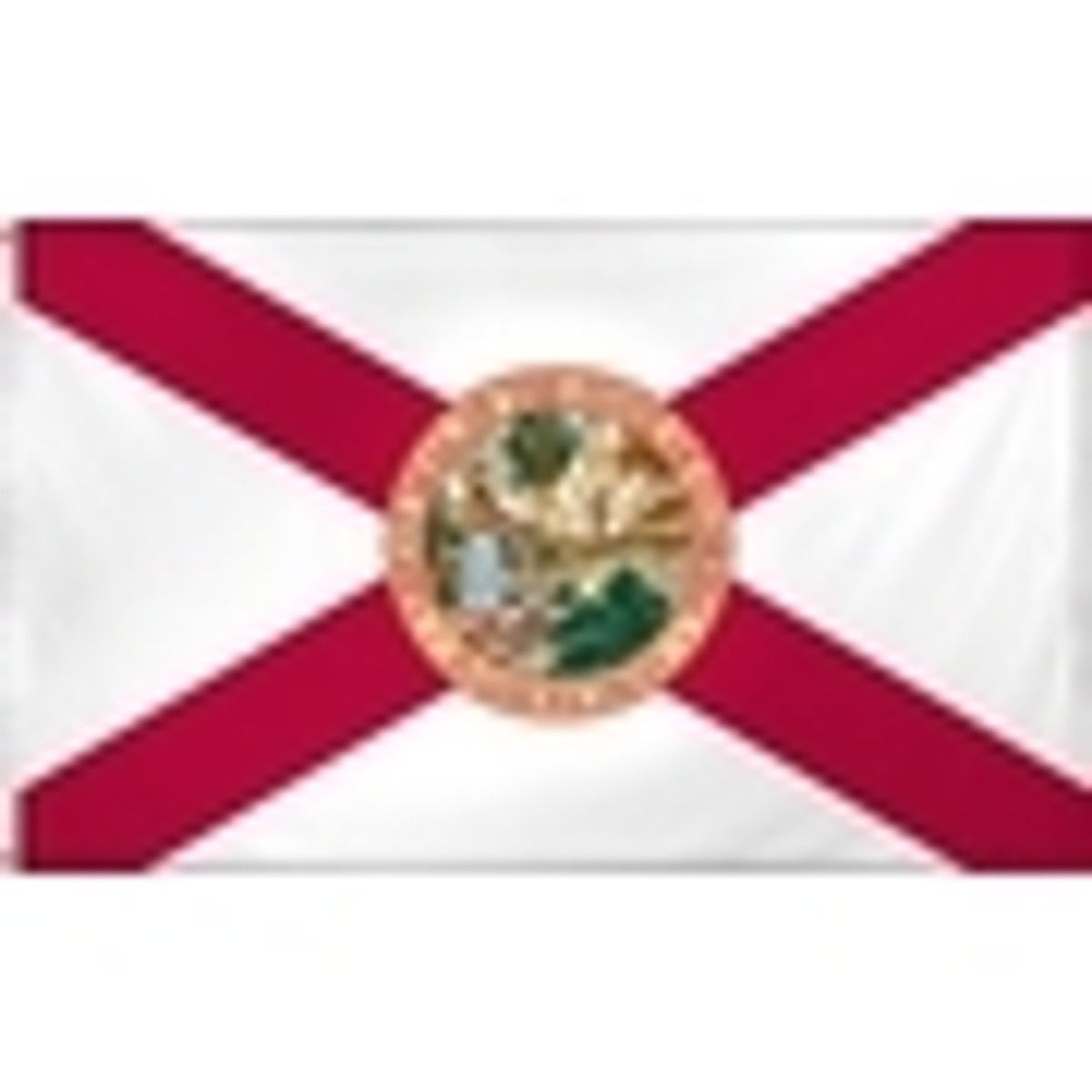 Polyester Florida Flags