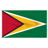6-Ft. x 10-Ft. Guyana Nylon Flag