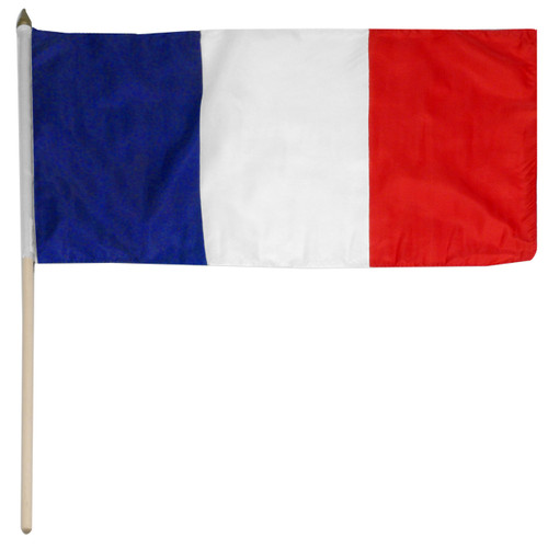 France 12in x 18in Polyester Flag