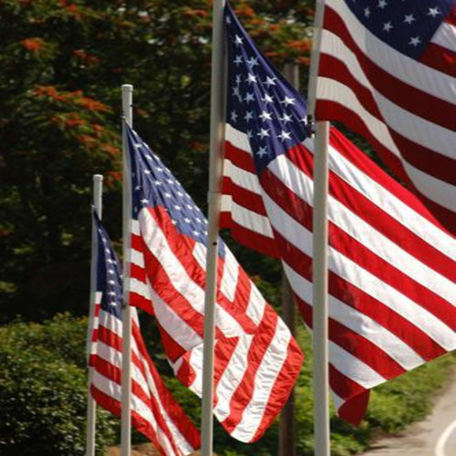 Independence Day Flags