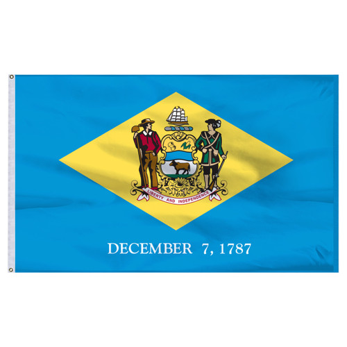 Delaware Flag 5 x 8 Feet Nylon