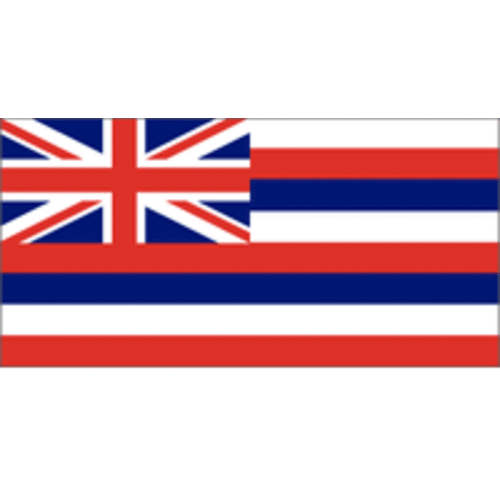 Hawaii 3ft x 5ft SpectraPro Flag