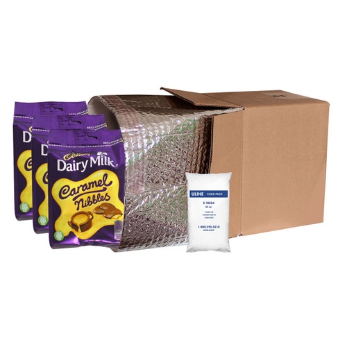 Small Insulated Shipping Liner With Cold Gel Pack - 10" x 10" x 10" - For Larger Bags of Candy & Cookies
