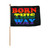 12-In. x 18-In. Born This Way Flag Stick Flag
