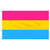 Pansexual Flag 3ft x 5ft Printed Polyester