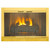 Polished Brass Plated Fireview Stock Masonry Fireplace Door
