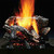 24'' Canyon Wildfire Vented Gas Log Set-Natural Gas