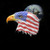 Eagle Composite 2 - Downloadable Image
