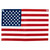 US Window Flag 12" x 18" Poly Cotton