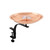 12" Copper Dogwood Birdbath with Rail Mount Bracket