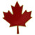 Canada Maple Leaf Pin