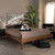 Baxton Studio Colette French Bohemian Ash Walnut Finished Wood Queen Size Platform Bed Frame