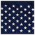 USA 30'  x 50' Poly Max Flag