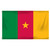 Cameroon 3ft x 5ft Printed Polyester Flag