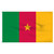 Cameroon 4ft x 6ft Nylon Flag