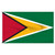 3ft x 5ft Guyana Nylon Flag