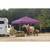 Pop-Up HD 12' x 12' Straight Leg Canopy - Purple